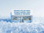 Eskimo-Polar-Indo.jpg