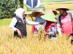 Kabupaten-Blitar-pada-Sabtu-2752023.jpg