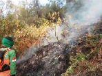 Kebakaran-hutan-di-blok-Lali-Jiwo-kawasan-Tahura-R-Soerjo-Mojokerto.jpg