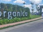 ORGANICA-Lodewyk-Wattimena-Direktur-Utama-Royal-Residence-bersama-Dina.jpg