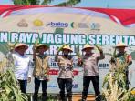 Panen Jagung Hingga 1 Ton, Polsek Kenjeran Surabaya: Disalurkan ke Bulog untuk Perkuat Stok Nasional