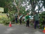 PEMANGKASAN-POHON-Dinas-Lingkungan-Hidup-Lamongan-melakuk.jpg