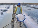 PRODUKSI-GARAM-Pekerja-PT-GARAM-saat-memproduksi-garam-tahun-2025-ini-H.jpg