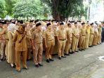 Pemkab-Banyuwangi-membuka-seleksi-Pegawai-PPPK-2024.jpg