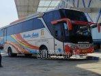 Petugas-melakukan-pemeriksaan-terhadap-bus-jarak-jauh-yang.jpg