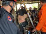 Proses-evakuasi-sapi-yang-tercebur-ke-sumur-di-Bogor-Jawa-Barat-Kamis.jpg