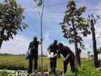 Sebanyak-satu-juta-pohon-jenis-Tabebuya-akan-ditanam-di-wilayah-Kebomas-Gresik.jpg