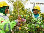 Semen-Indonesia-raih-profit-7-T.jpg