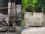 Tabiat-Ari-yang-Viral-Nekat-Blokir-Jalan-Umum-Warga-Juga-Terganggu-Bau-Sampah-Sangat-Mengganggu.jpg