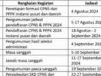 Telanjur-Viral-Jadwal-CPNS-2024-dan-PPPK-BKN-Tunggu-Panselnas-Kemenpan-RB-Tak-Ingin-Buru-buru.jpg