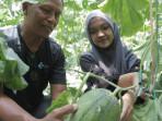 WISATA-PETIK-MELON-Augustinus-Kristiono-pemilik-wisata-pet.jpg