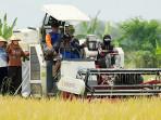 Wali Kota Mojokerto Ning Ita Apresiasi Kerja Keras Petani, Semringah Hasil Panen Padi Meningkat