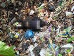 Warga-Lumajang-Geger-Temukan-Jenazah-Penuh-Belatung-di-Tempat-Sampah.jpg