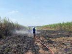 Waspda-kebakaran-lahan-di-Mojokerto.jpg