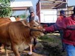 aktivitas-di-Pasar-Hewan-Caruban-Madiun.jpg