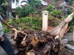 angin-kencang-melanda-Tulungagung.jpg
