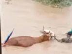 banjir-di-Kecamatan-Sutojayan-Blitar-17102022.jpg