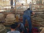 barang-bukti-judi-sambung-ayam_20181007_225047.jpg