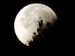 gerhana-bulan_20180131_092421.jpg