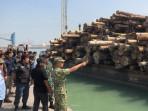 gresik-Satgas-PKH-dalam-mengungkap-kasus-illegal-logging.jpg