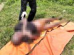 jasad-pria-misterius-yang-ditemukan-mengapung-di-Sungai-Bengawan-Solo-Gresik.jpg