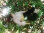 jasad-wanita-asal-Kediri-dibuang-di-jurang-Cangar-Pacet-Mojokerto.jpg