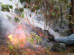kebakaran-hutan-di-Tahura-R-Soerja-Pacet-Kabupaten-Mojokerto.jpg