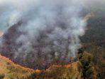 kebakaran-hutan-di-wilayah-Gunung-Arjuno.jpg