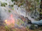 kebakaran-hutan-kawasan-Tahura-R-Soerjo-di-Kabupaten-Mojokerto-20112023.jpg