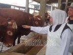 kesiapan-jelang-Idul-Adha-1444-H-Selasa-662023.jpg