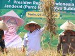 panen-raya-di-Banyuwangi-7.jpg