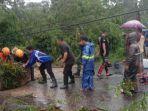 pemotor-Jember-tertimpa-pohon.jpg