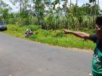 pencurian-sapi-kembali-terjadi-di-lumajang.jpg