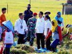 presiden-republik-indonesia-joko-widodo-panen-raya-di-ngawi.jpg