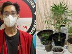 Hasil Budidaya Ganja, Kini Pria Asal Krembangan Surabaya Menginap di Hotel Prodeo
