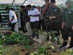 Kualitas Udara Trenggalek Terbaik di Jatim Berkat Program Pro Lingkungan, Salah Satunya Donasi Pohon