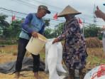 Curah Hujan Dukung Tambahan Pupuk Bersubsidi, Petani Trenggalek Bisa Bertanam Sepanjang Tahun