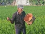Harga Pupuk Bersubsidi Turun, Jadi Semangat Baru Petani Trenggalek Untuk Tingkatkan Hasil Panen