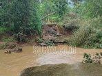 putus-akibat-diterjang-rumpun-bambu-Kamis-15122022.jpg