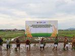 rea-lahan-padi-yang-jadi-lokasi-kerja-sama-PT-Wilmar-Padi-Indonesia.jpg