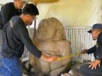 situs-dwarapala-Nganjuk11.jpg