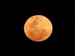supermoon2_20180101_233349.jpg