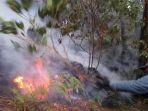 taman-hutan-Mojokerto-terbakar.jpg