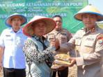 taman-jagung-di-Probolinggo-8.jpg