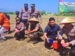 tanam-jagung-Situbondo-5.jpg