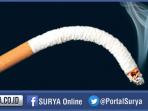 tobacco-use-makes-you-impoten-ilustrasi-burung-alat-kelamin-penis_20151016_182525.jpg