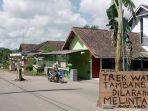 warga-Desa-Sumberagung-Tulungagung-tanam-pohon-pisang-di-jalan-rusak.jpg