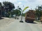 warga-blitar-kembali-tanam-pisang-di-jalan-rusak.jpg