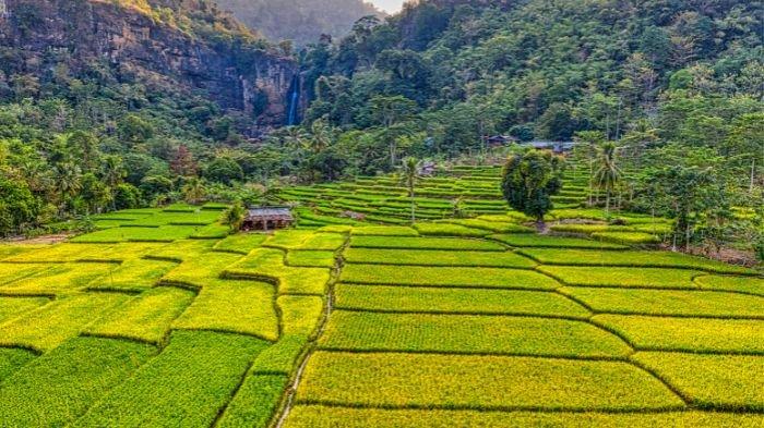 Inilah 16 Desa di Kabupaten Bandung Jabar Terima Dana Desa 2025 Tertinggi hingga Rp2,6 Miliar