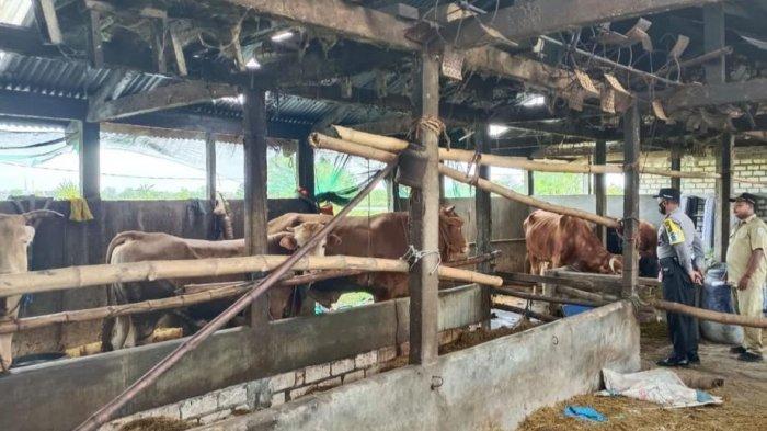 Satgas Pangan Polda Jatim Bantu Pemprov Jatim dalam Penanganan PMK pada Hewan Ternak